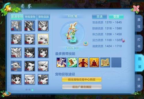 手游最新宠物爆料,手游新宠来袭，带你领略奇幻之旅  第1张