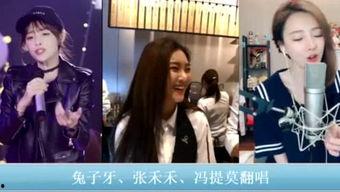 小林娱乐爆料视频在线观看,揭秘热门视频幕后故事  第3张