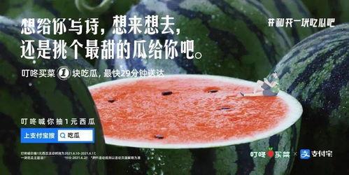 娱乐吃瓜文案图片